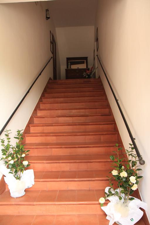 אסיסי Hotel La Quiete מראה חיצוני תמונה